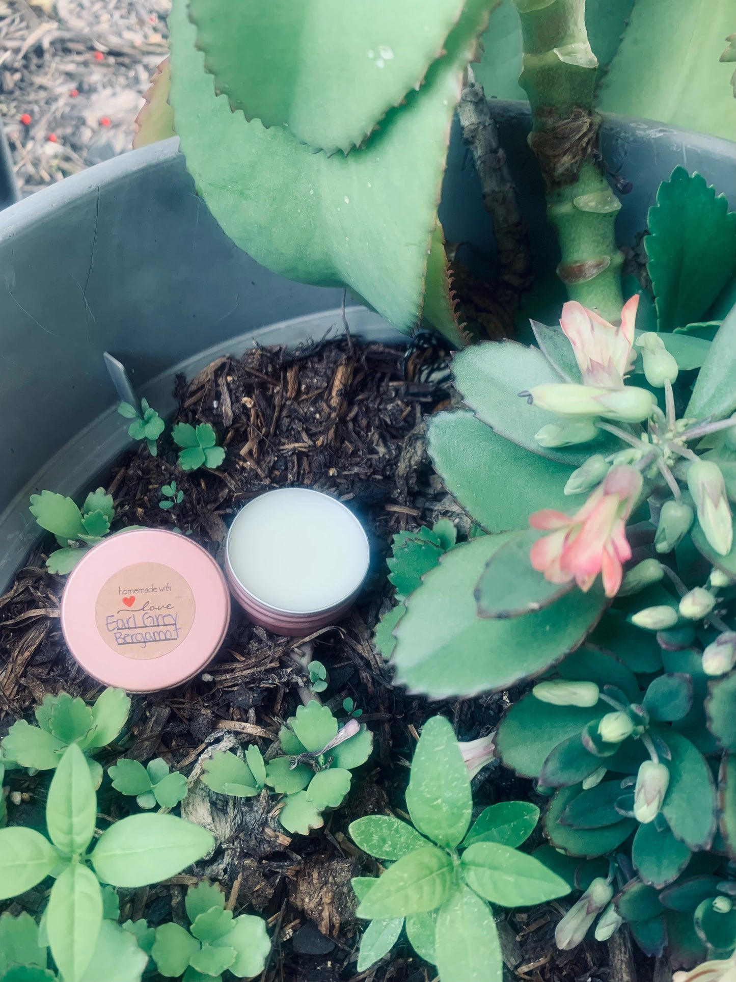 LuxeLips Lip Balm